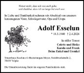 eine Anzeige