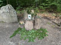 ein Bild aus dem Album